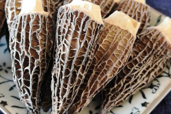 羊肚菌松茸燉雞湯吃了上火嗎 羊肚菌松茸燉雞湯吃了上火嗎