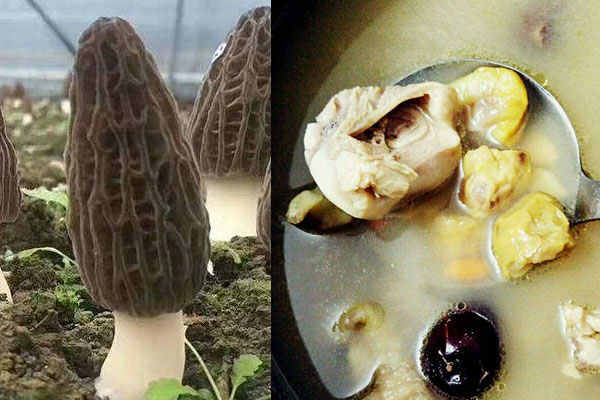 羊肚菌板栗燉雞的做法，孕婦可以吃嗎