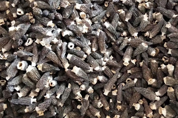 羊肚菌雞粥的做法竅門(mén) 羊肚菌雞粥的做法竅門(mén)