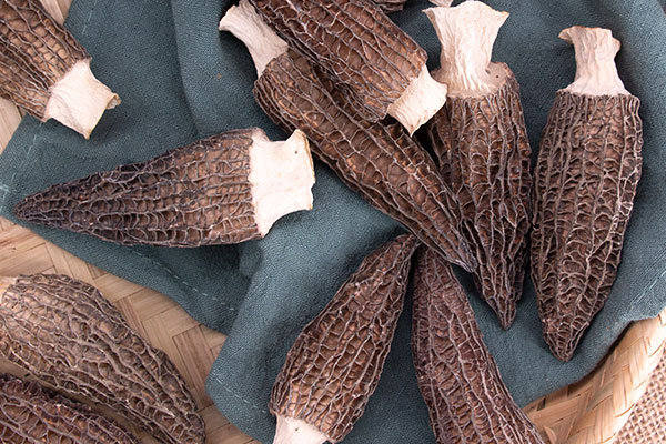 羊肚菌燉雞汁的食用禁忌 羊肚菌燉雞汁的食用禁忌