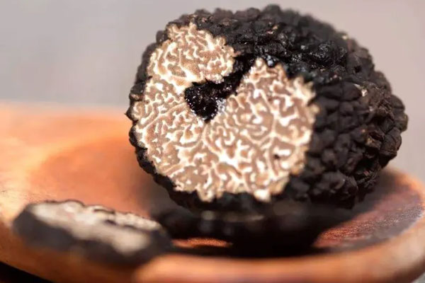 為什么松露有那么多種香味 為什么松露有那么多種香味