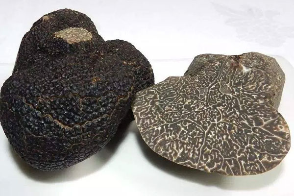 吃黑松露會(huì)失眠嗎 吃黑松露會(huì)失眠嗎