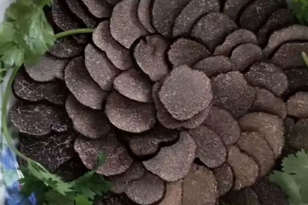 黑松露不可以和什么同吃 黑松露不可以和什么同吃