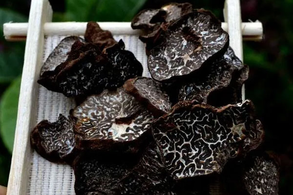 癌癥患者可以吃黑松露嗎，生吃松露吐了怎么辦