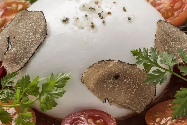 松露是寒性的嗎