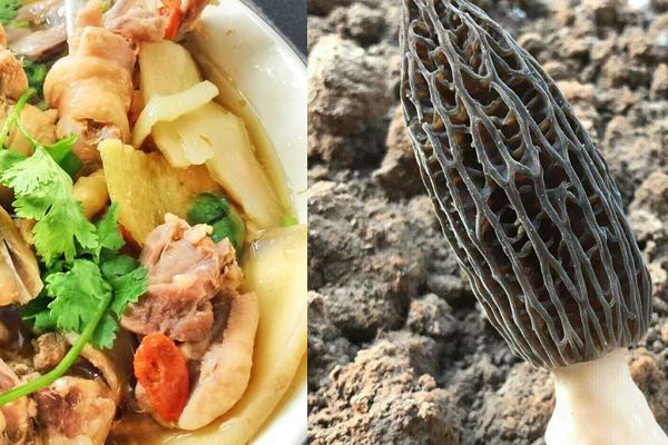 淮山羊肚菌蒸雞肉的做法，一般要蒸多久