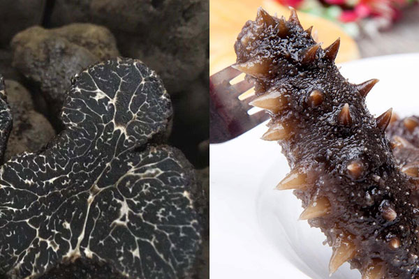 黑松露燉海參的做法，黑松露和海參哪個好
