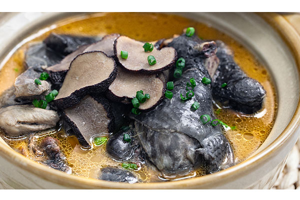 松露湯加陳皮可以嗎 松露湯加陳皮可以嗎