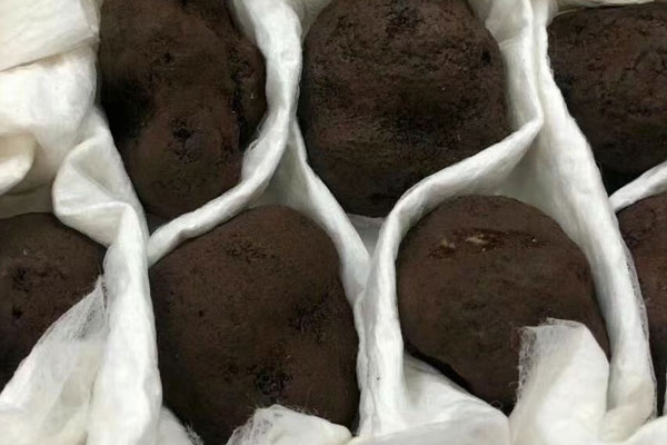 九個(gè)月寶寶可以吃黑松露嗎