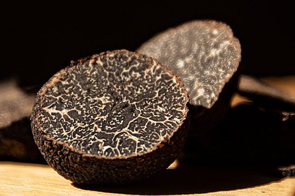 松露和蘑菇、銀耳的關(guān)系