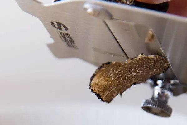 意大利松露每年出口多少噸 意大利松露每年出口多少噸