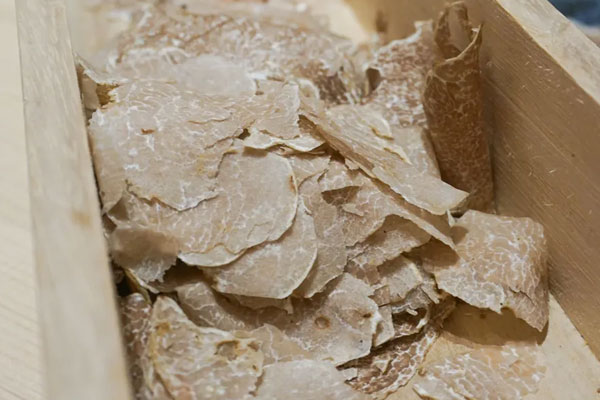 意大利白松露貴嗎 意大利白松露貴嗎