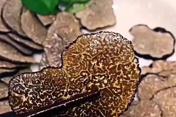 黑松露能做刺身吃嗎