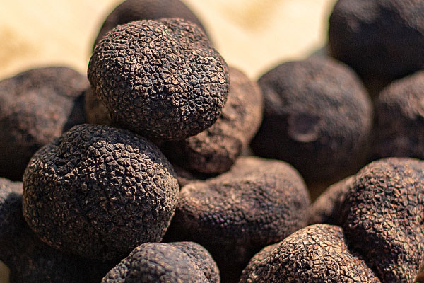 乳腺癌能吃松露嗎，生吃松露營(yíng)養(yǎng)價(jià)值更高嗎