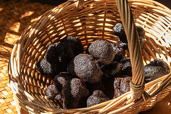 黑松露外面一層很硬能吃嗎