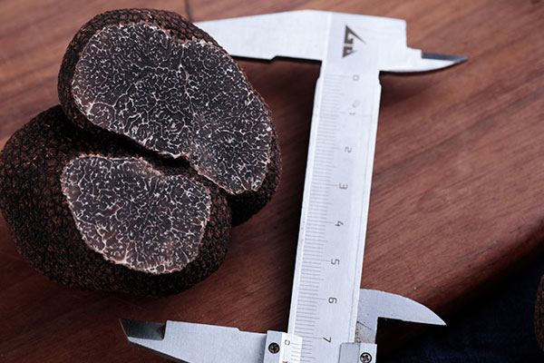 黑松露有蟲洞是壞了嗎 黑松露有蟲洞是壞了嗎