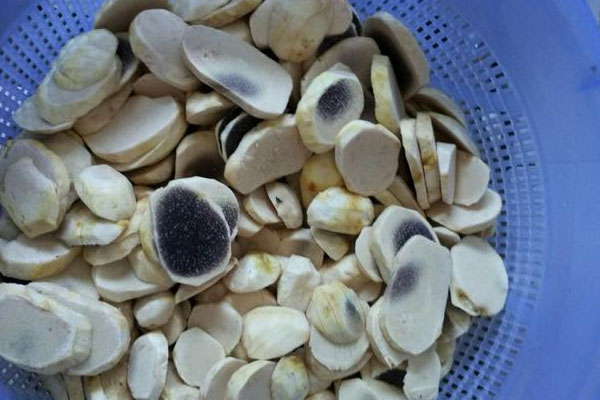 /uploads/allimg/201223/1-20122301505L05.jpg /uploads/allimg/201223/1-20122301505L05.jpg