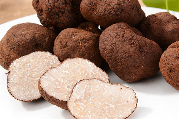 松露切開有白色是發(fā)霉了么 松露切開有白色是發(fā)霉了么