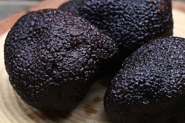 中國(guó)哪里的松露最好，黑松露怎么切