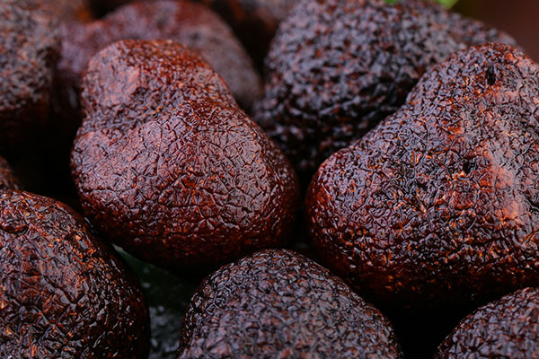 大興安嶺有松露嗎，新鮮松露里面是什么顏色