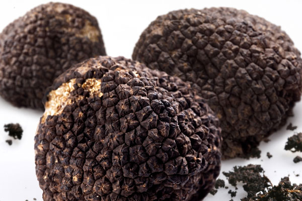 土蛋菌又叫松露，松露有幾種顏色