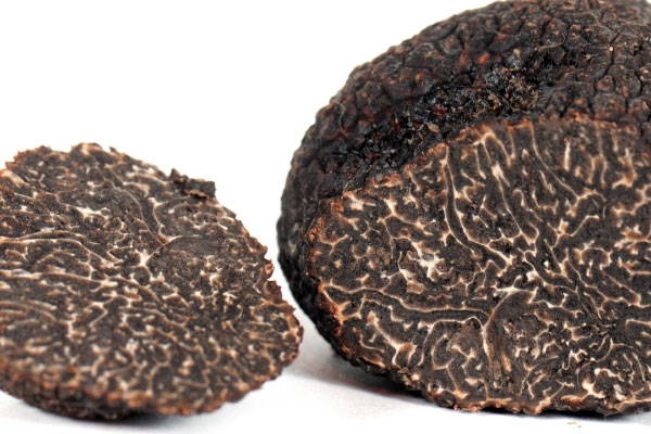 黑松露是涼性的還是熱性的 黑松露是涼性的還是熱性的