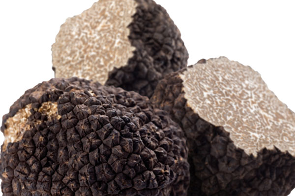 黑松露怎么搭配好 黑松露怎么搭配好