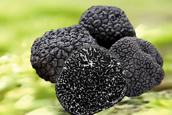 黑松露可以冷凍嗎 黑松露可以冷凍嗎