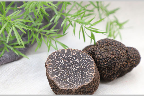 黑松露焗帝王蟹的功效作用與營(yíng)養(yǎng)價(jià)值