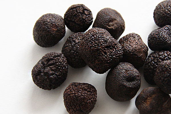 松露是屬于哪一類 松露是屬于哪一類