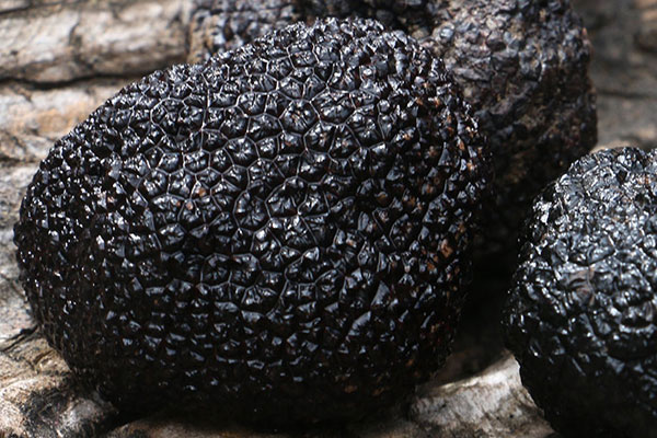 松露會(huì)引起人體過敏嗎，有哪些癥狀呢