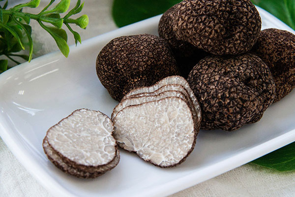 松露的保質(zhì)期多長時間 松露的保質(zhì)期多長時間