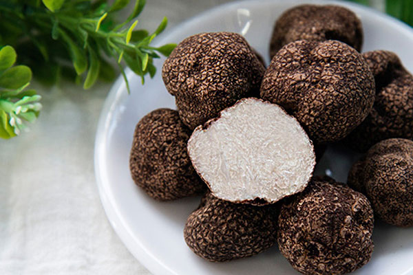 松露過(guò)敏有什么癥狀 松露過(guò)敏有什么癥狀