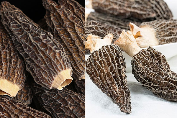 剪腳羊肚菌的等級 剪腳羊肚菌的等級