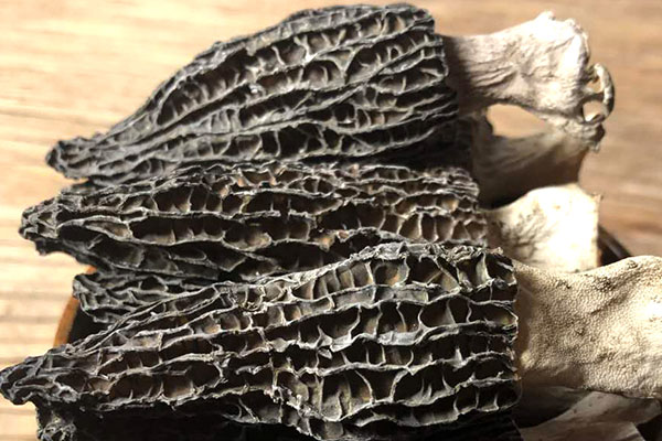 干羊肚菌為什么那么鮮香 干羊肚菌為什么那么鮮香