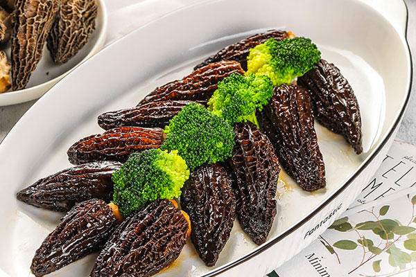 羊肚菌什么時(shí)候種植 羊肚菌什么時(shí)候種植