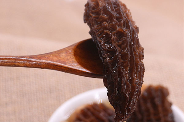 羊肚菌能去藥店買嗎 羊肚菌能去藥店買嗎