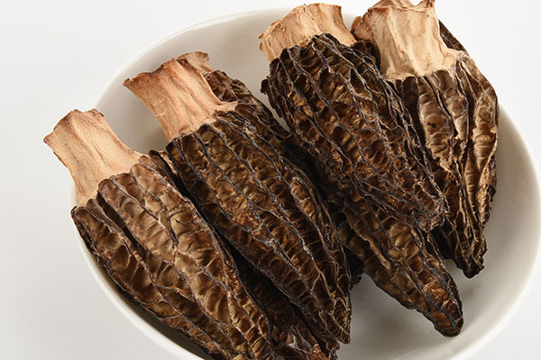 怎么挑選羊肚菌 怎么挑選羊肚菌