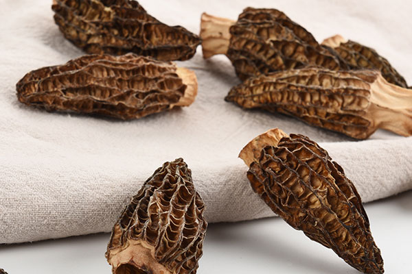 羊肚菌便宜和貴有哪些區(qū)別 羊肚菌便宜和貴有哪些區(qū)別