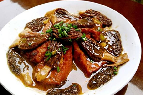 羊肚菌可以紅燒嗎 羊肚菌可以紅燒嗎