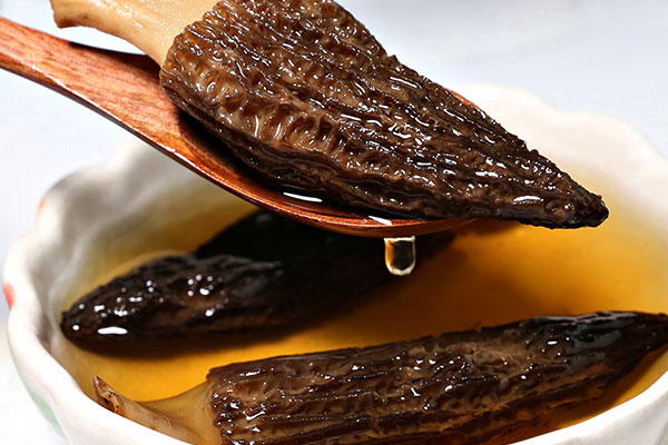 羊肚菌買的時(shí)候怎么選，干的羊肚菌可以放冰箱冷藏嗎