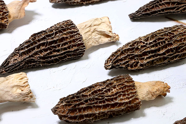 干的羊肚菌能夠放冰箱冷藏嗎 干的羊肚菌能夠放冰箱冷藏嗎