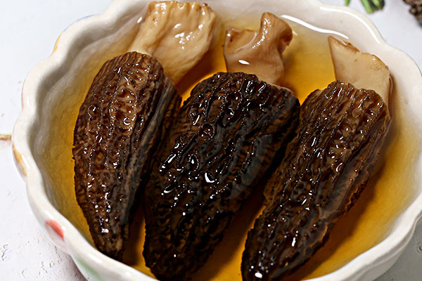 什么地方可以買到羊肚菌 什么地方可以買到羊肚菌