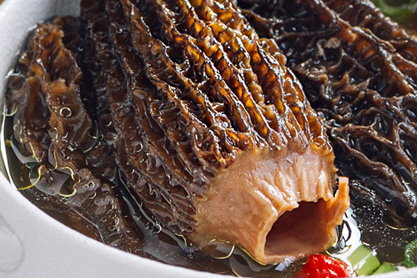 最好的羊肚菌哪里出產(chǎn)，羊肚菌菌腳怎樣吃