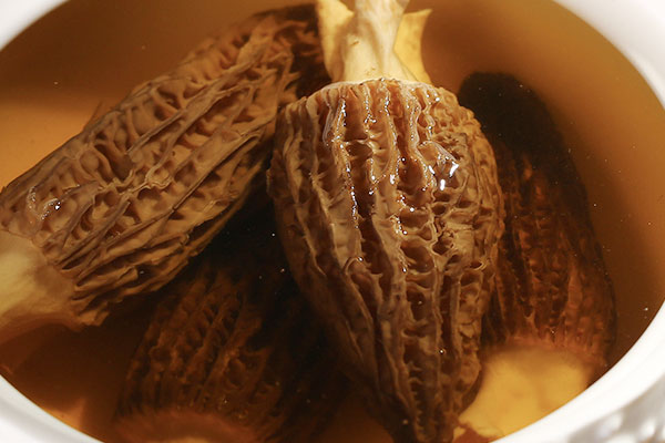 羊肚菌小孩可以吃嗎，羊肚菌可以和魚煲粥嗎