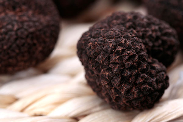 黑松露和哪些食材搭配可以趕走血栓 黑松露和哪些食材搭配可以趕走血栓