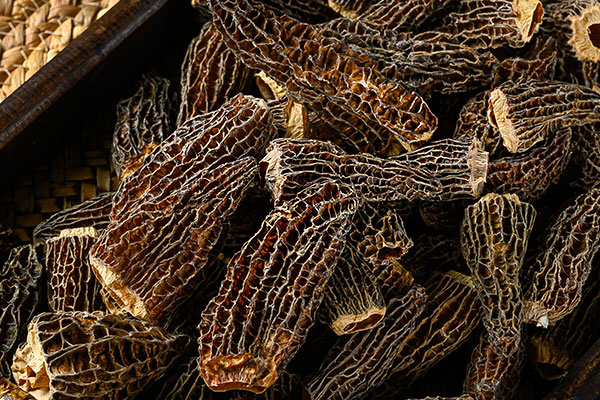 干羊肚菌好吃還是新鮮羊肚菌 干羊肚菌好吃還是新鮮羊肚菌