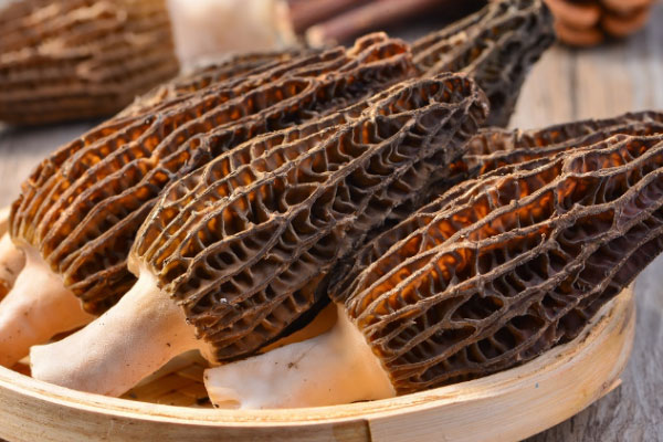 羊肚菌煲什么化痰止咳，羊肚菌川貝止咳湯的做法