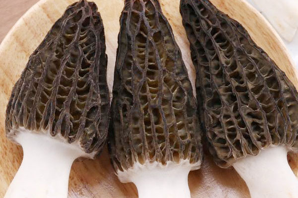 羊肚菌不能和什么食物同煮 羊肚菌不能和什么食物同煮