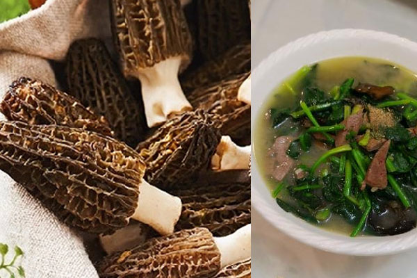 羊肚菌三鮮湯的做法 羊肚菌三鮮湯的做法